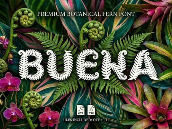 Buena: The Premium Display Font for Scroll-Stopping Visuals