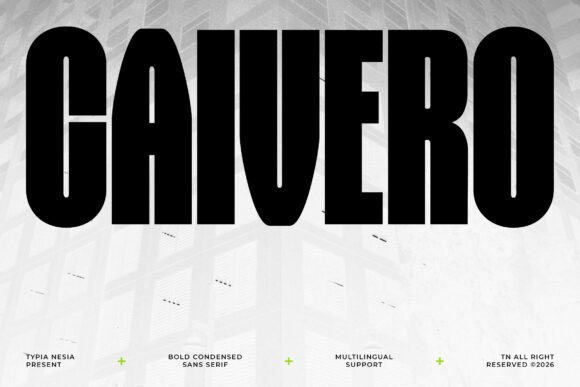 Caivero: The Bold Font That Transformed My Small Business Brand